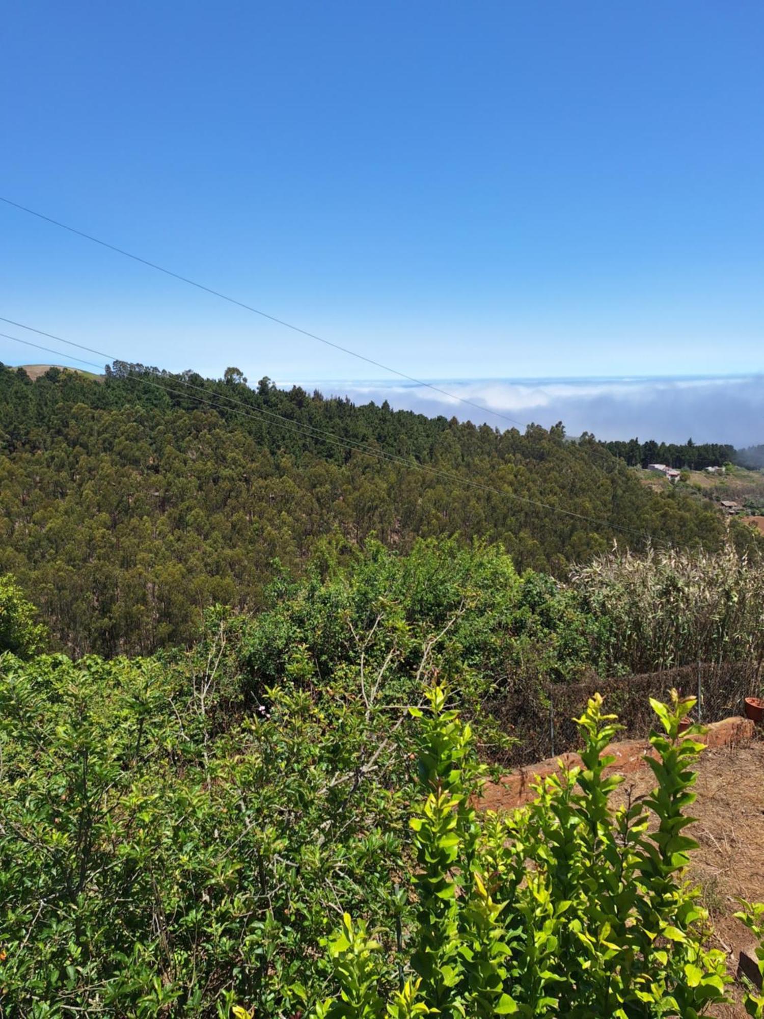 Finca Esther Las Palmas de Gran Canaria Eksteriør billede